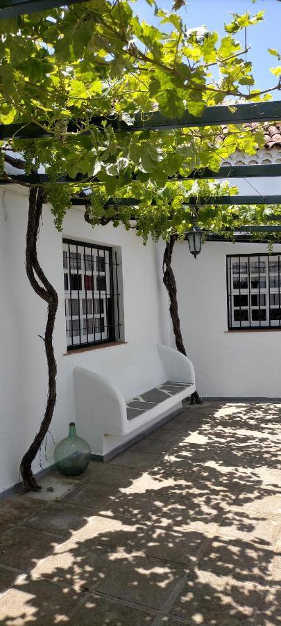 San Juan de la Rambla El Lagar De Piedra 빌라 외부 사진